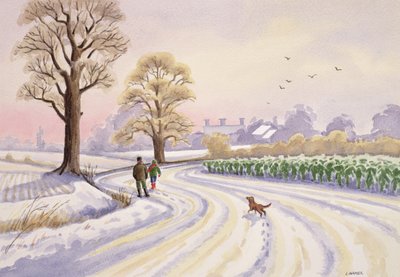 Paseo en la nieve de Lavinia Hamer